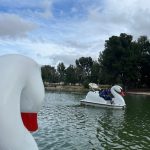 Swan Boats at Yorba Regional Park-Discount!